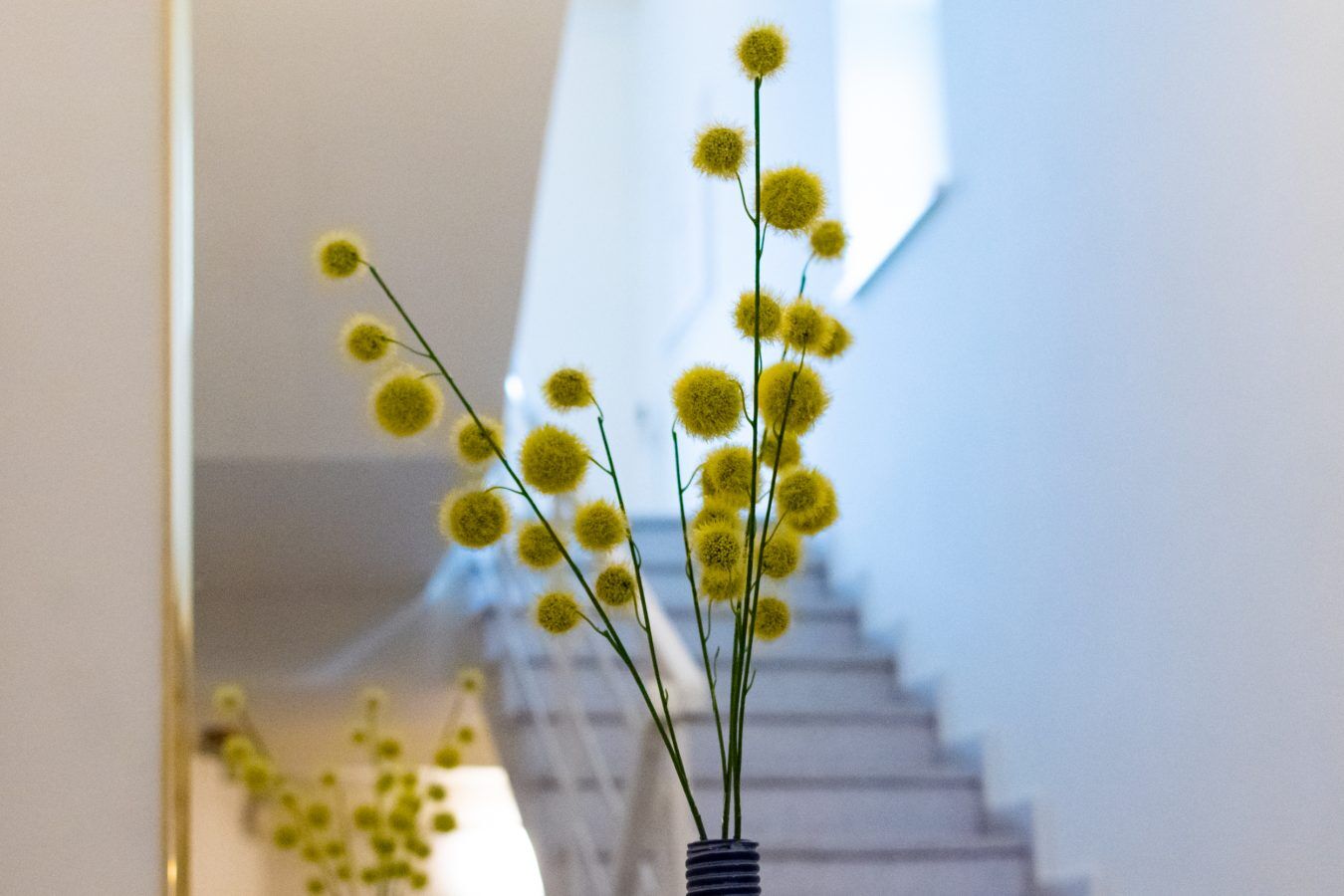 Randevu Panzio Bed & Breakfast Sopron Interior photo